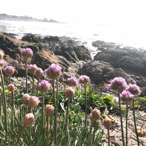 Meet your Posher, W an